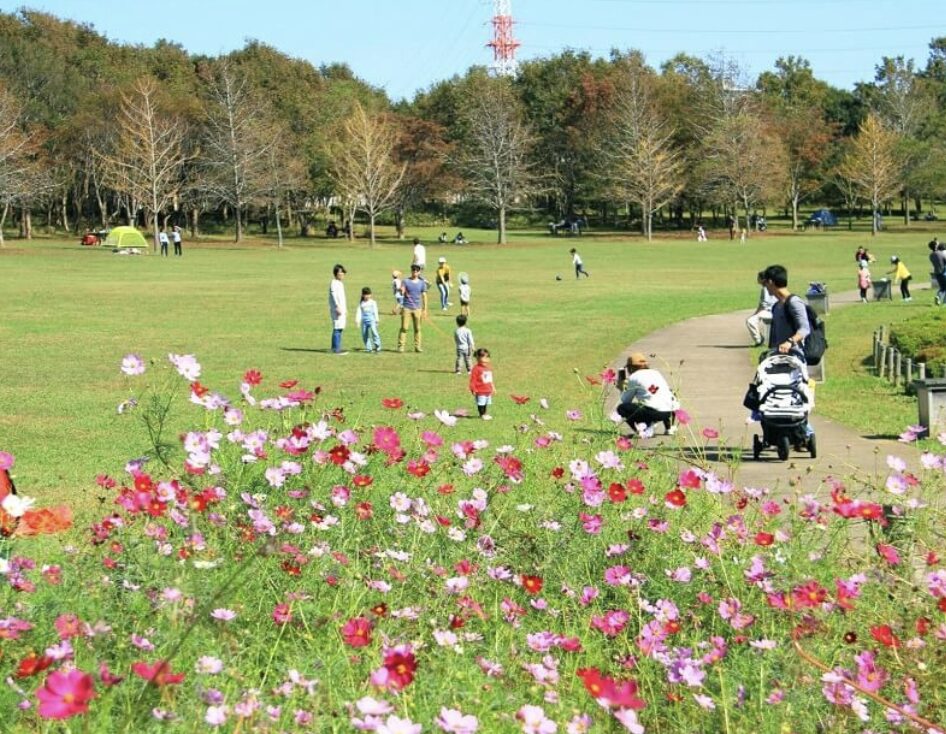 アクセス良好！自然と利便がそろった街・印西市の魅力をご紹介します